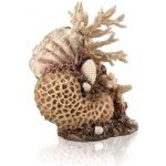 BiOrb Coral-Shells Ornament natural 22 cm – Zboží Dáma