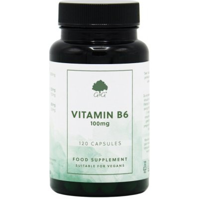 G&G Vitamins Vitamin B6 pyridoxin 100 mg 120 kapslí – Hledejceny.cz