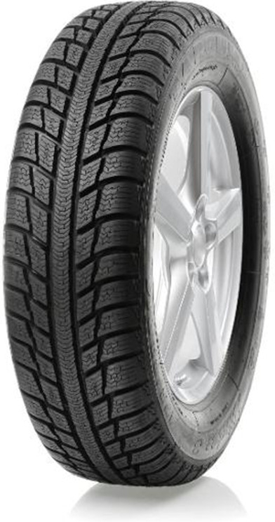 Targum Winter 3 195/65 R15 95T