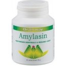 Brainway Amylasin 50 tablet