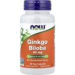 Now Foods Ginkgo Biloba 60 mg 60 kapslí – Hledejceny.cz