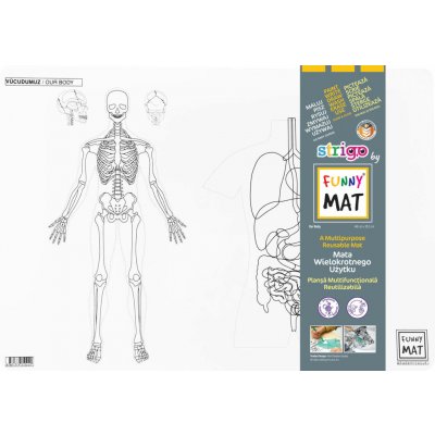 FUNNY MAT Funny Mat Podložka na kreslení Lidské tělo + pastelky zdarma 489776 – Hledejceny.cz