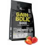 Olimp GAIN BOLIC 6000 1000 g – Hledejceny.cz