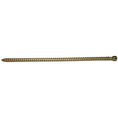 Vruty RAPI-TEC VG 8x220mm válcová hlava TX40 galvanický zinek – Hledejceny.cz