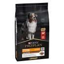 Purina Pro Plan Duo Délice Medium & Large Adult Beef 10 kg