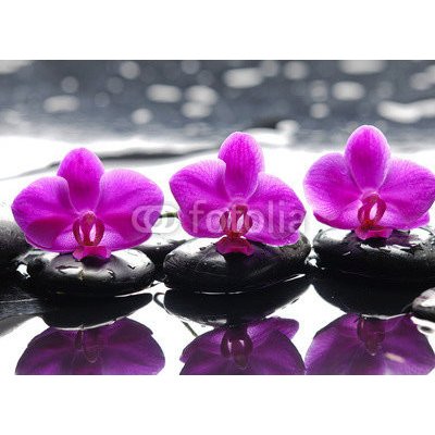 WEBLUX 64342566 Fototapeta papír Three orchid flower and stones with reflection in water drops Tři orchidejové květiny a kameny s odrazem ve vodních kapkách rozměry 160 x 116 cm – Zboží Mobilmania