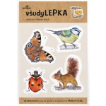 VšudyLepka Lesní svět vel. 1 043 mix zvířátek – Zboží Dáma