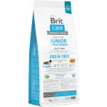 Brit Care Grain-free Junior Large Breed Salmon 12 kg – Hledejceny.cz