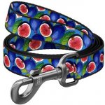 WAUDOG nylon dog leash – Hledejceny.cz