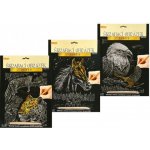 SMT Creatoys Škrabací obrázek stříbrný A4 23x32cm 3 druhy – Zboží Dáma