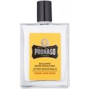 Proraso Wood and Spice balzám po holení 100 ml