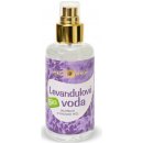 Přípravek na čištění pleti Purity Vision Levandulová voda 100 ml