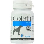 Colafit Max Forte na klouby pro psy 50tbl – Hledejceny.cz