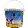 Krmivo a vitamíny pro koně Apetit Delicacy Horse Biscuits PARSLEY 3,5 l
