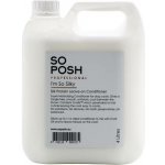 So Posh Im So Silky- Silk Protein Leave-on Conditioner-Profesionální bezoplachový kondicionér pro hedvábnou srst 4l – Sleviste.cz