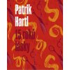 Kniha 15 roků lásky / Dárkové ilustrované vydání - Patrik Hartl