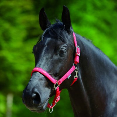 WALDHAUSEN Stájovka Little Horse tmavě modrá – Zboží Dáma