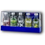 Absolut Mini Set 40% 5 x 0,05 l (set) – Hledejceny.cz