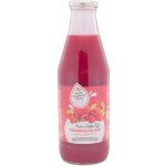 Ochutnej Ořech Šťáva malina 100% neslazená 0,75 l – Hledejceny.cz