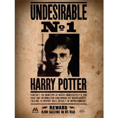 SD TOYS MERCHANDISING Harry Potter: Nežádoucí č. 1 1000 dílků – Zboží Mobilmania