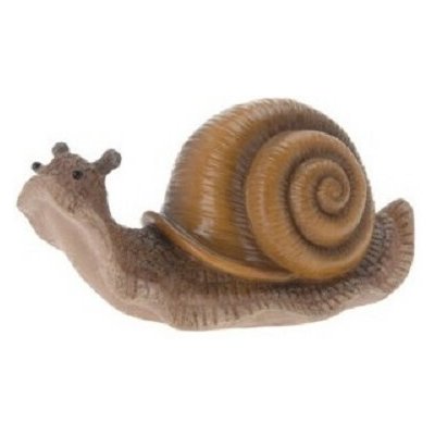 Želva malá – Zboží Dáma