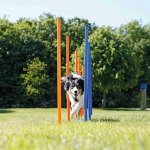 Trixie agility slalom tyče 12ks – Zbozi.Blesk.cz