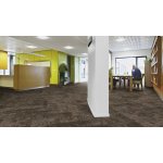 Forbo Flotex Planks Montage Tundra 147008 2.50 m²