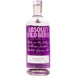 Absolut Wild Berri 38% 1 l (holá láhev) – Zboží Dáma