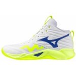 Mizuno WAVE MOMENTUM PRO MID U V1GA254539 – Zboží Mobilmania