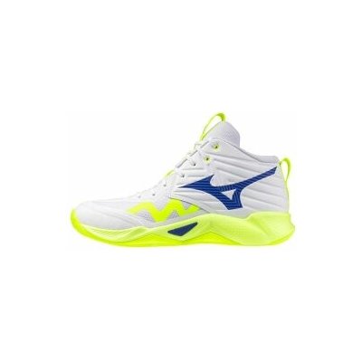 Mizuno WAVE MOMENTUM PRO MID U V1GA254539 – Zboží Mobilmania