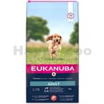 Eukanuba Adult Small & Medium Salmon 12 kg – Sleviste.cz