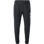 EA7 Emporio Armani pánské kalhoty TRAIN LOGO SERIES M SPECIAL LOGO pants CH COFT 3LPP72PJ05Z1200 – Hledejceny.cz