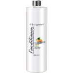 Iv San Bernard Citronový kondicionér 1000 ml – Hledejceny.cz