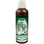 Naděje Borůvka černá tinktura z pupenů rostlin 50 ml – Hledejceny.cz