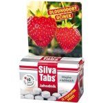 Nohelgarden Hnojivo SILVA TABS na jahody 250 g – Zbozi.Blesk.cz