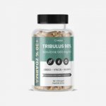 MOVit Energy TRIBULUS 90% Kotvičník 500 mg 4v1 120 kapslí – Hledejceny.cz