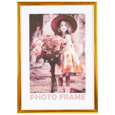 Rámeček plastový 30x40cm Fandy SIMPLE 2 zlatý – Zbozi.Blesk.cz