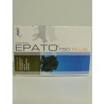 ICF Industria Chimica Fine Epato 750 30 tbl. – Hledejceny.cz