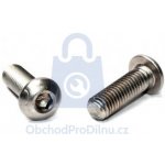 Šroub BUTTON, čočková hlava, drážka IMBUS, ISO 7380, nerez A4 M6 x 90, balení 1 ks – Zboží Mobilmania
