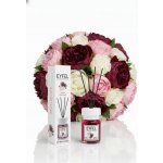 Eyfel difuzér s tyčinkami Květina 120 ml – Hledejceny.cz