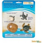 Safari Životní cyklus Mořská želva – Zboží Dáma