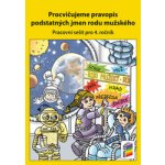 Procvičujeme pravopis podstatných jmen rodu mužského – Zboží Dáma