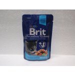 Brit Premium Kitten Chicken Chunks 100 g – Sleviste.cz
