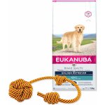 Eukanuba Golden Retriever 12 kg – Zboží Mobilmania