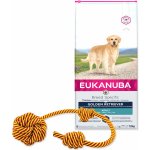 Eukanuba Golden Retriever 12 kg – Hledejceny.cz