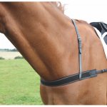 SHIRES Poprsník VELOCITI Gara Elastic Havana – Zboží Dáma