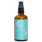 Tierra Verde Osvěžovač vzduchu - BIO Chladivé osvěžení 100 ml – Sleviste.cz