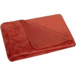 Brotex Dětská micro deka terra – Sleviste.cz