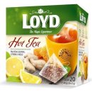 Loyd HOT Tea zázvor citrón med 20 x 2 g