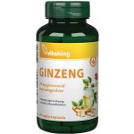 Vitaking Ginkgo Biloba 60 mg Leaf Extract 90 kapslí – Hledejceny.cz